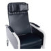 Three Position Lifecare Recliner