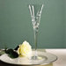 Opal Innocence Crystal Toasting Flute Pair