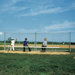 Baseball / Softball Protective Screens