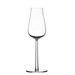 Essence Plus Champagne Glass (Set of 2)
