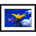 Dwarf Sunflower and Lupine Framed Photograph