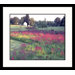 Wildflower Countryside Framed Photograph