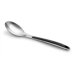 Stainless Steel Spoon