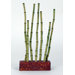 Marina Bamboo Shoots Ornament