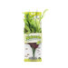 Marina Naturals Green Pickerel Silk Plant