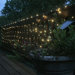 200-LED Solar Net Lights with Green Wire in Warm White