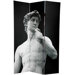 6Feet Tall Double Sided Coliseum and David Canvas Room Divider