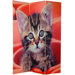 Double Sided Kittens Room Divider