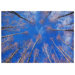 Treetops Canvas Wall Art - 19.75" x 27.5"