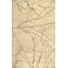 Greenwich Ivory Rug