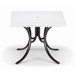 36'' Square Werzalit Table