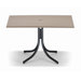 32'' x 48'' Rectangle Werzalit Table with Hole