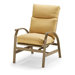 Cape May Dining Arm Chair with Cushion