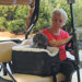 Lookout Golf Cart Pet Carrier
