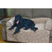 Bolstered Pet Loveseat Cover