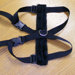 Lookout Harness