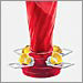 Hummingbird Feeder - 16 Oz.