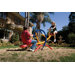 Deluxe Pendulum Teeter Totter
