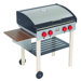 My Backyard BBQ Set