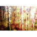Aspen Wall Art
