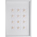 Starfish Art