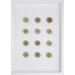 Green Sea Urchins Art