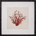 Mini Red Coral VII Art