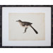 Vintage Bird II Art