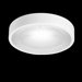 Star Flush Mount