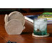 Coral Fossil Coaster (Set of 6)