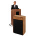 Extension Speaker