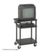 Multimedia Cart