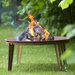 Ignis Fire Pit Table