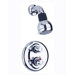 Shower Head with Arm and Flange