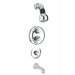 Dual Control Tub and Shower Faucet