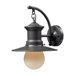 1 Light Outdoor Wall Sconce