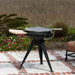 HotSpot Terrace 600 Charcoal Grill