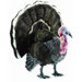 Life Size Turkey Stuffed Animal