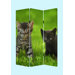 Cat Screen