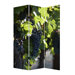 Wine Country Screen