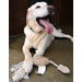 Jute Pheasant Dog Toy