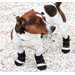 Dog Boots