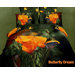 Dolce Mela Butterfly Dream Duvet Cover Set