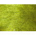 Splendour Shadow Lime Green Shag Rug