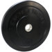25 lb Econ V2 Bumper Plates (Set of 2)