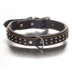 Wyatt Overlay Dog Collar