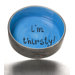 I'm Thirsty Ceramic Food  Dog Bowl