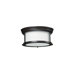 Sonna 2 Light Flush Mount