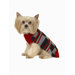 Color Block Dog Sweater in Red/Charcoal