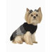 Tri Color Stripe Dog Sweater with Hat in Charcoal